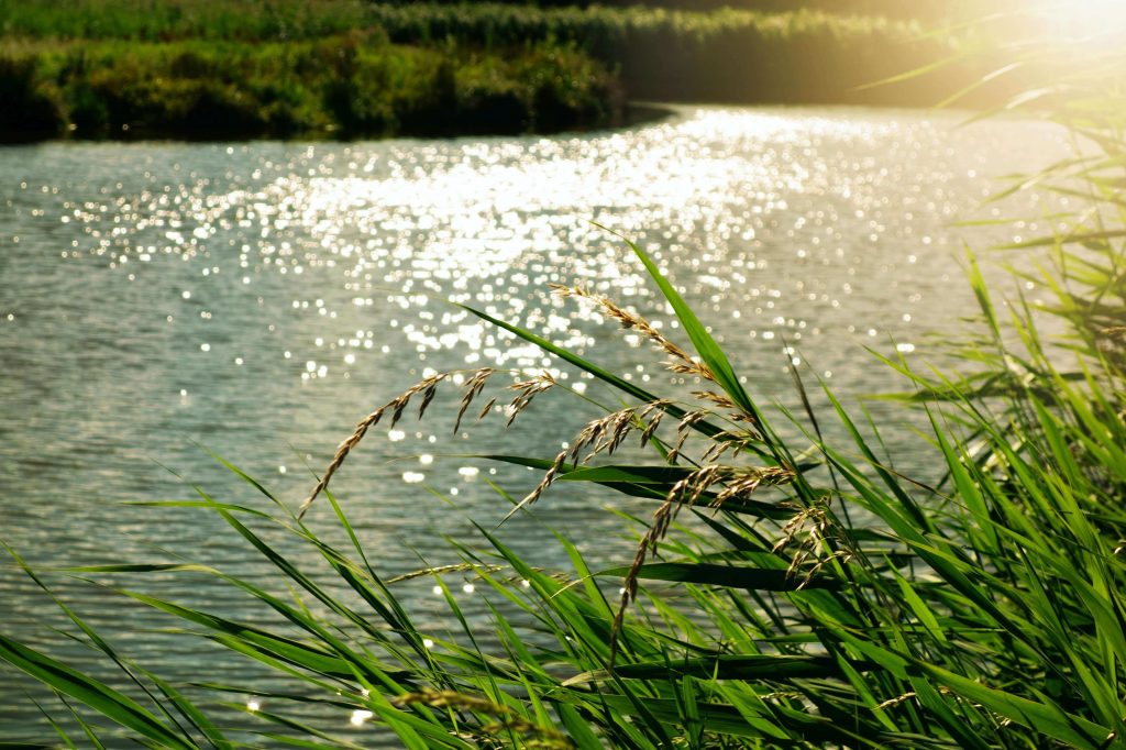 Ruisseau